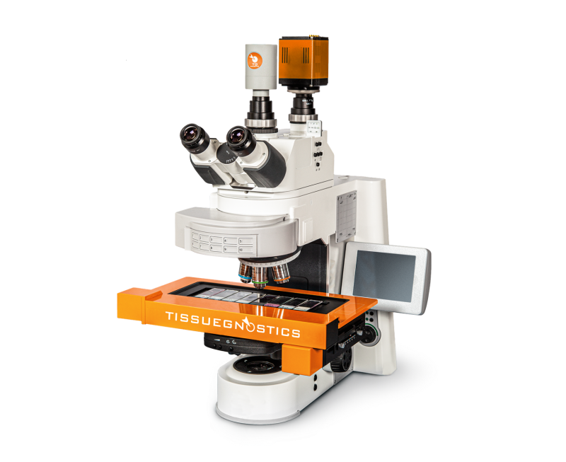 TissueFAXS Plus組織原位單細(xì)胞空間表型驗(yàn)證定量系統(tǒng)