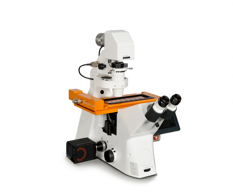 TissueFAXS I 全景倒置系列
